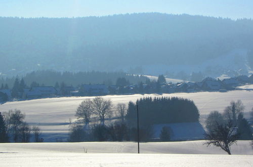 Photo 34 - Cozy Apartment in Herrischried near Black Forest