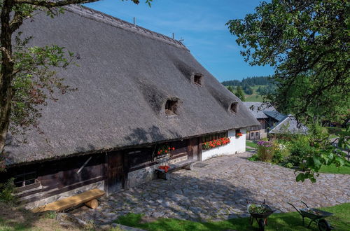 Photo 25 - Cozy Apartment in Herrischried near Black Forest