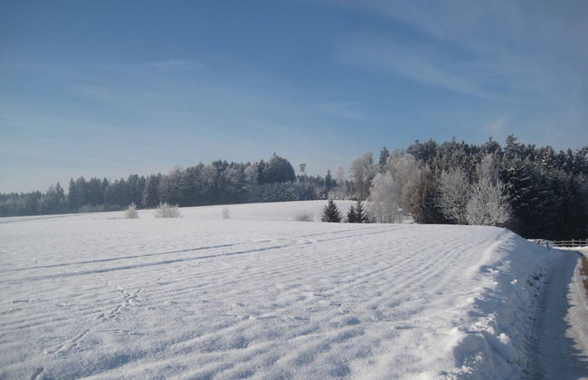 Wohnung in Rotthalmunster mit Garten - Foto 18