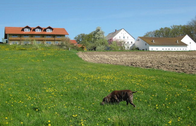 Comfortable Apartments in Rotthalmunster - Foto 65