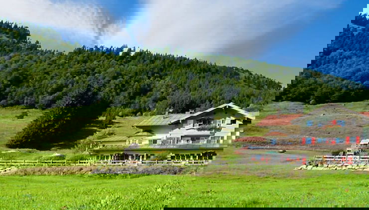 Image principale