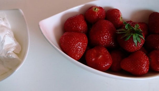 Rezeption