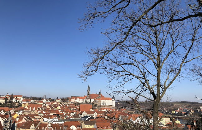 Rebenhaus Meißen - Foto 53