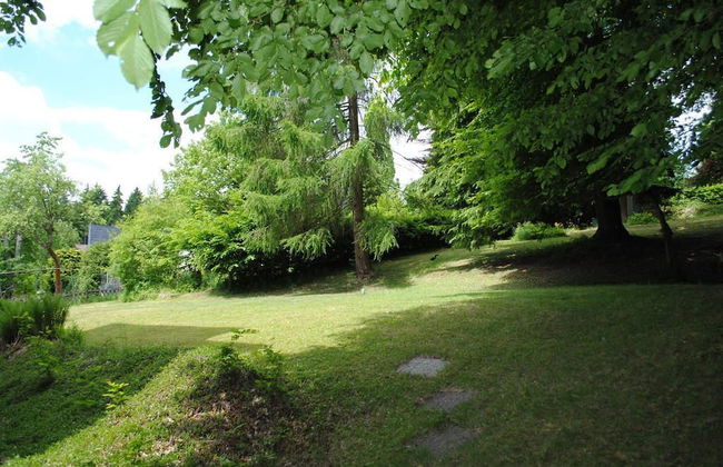 Camera doppia standard - Panorama Hotel Pension Frohnau - Foto 23