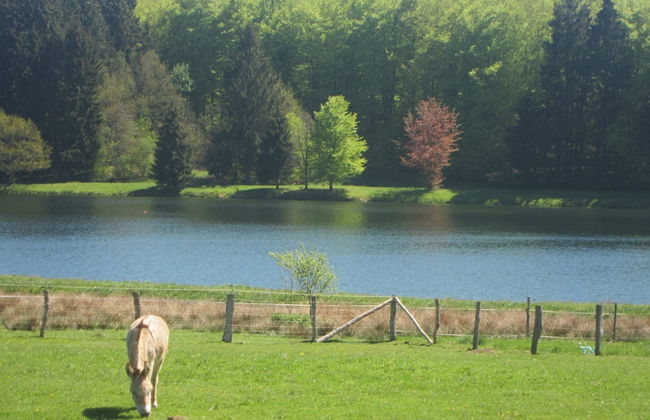 Holiday Home in Bastogne With Garden - Foto 33