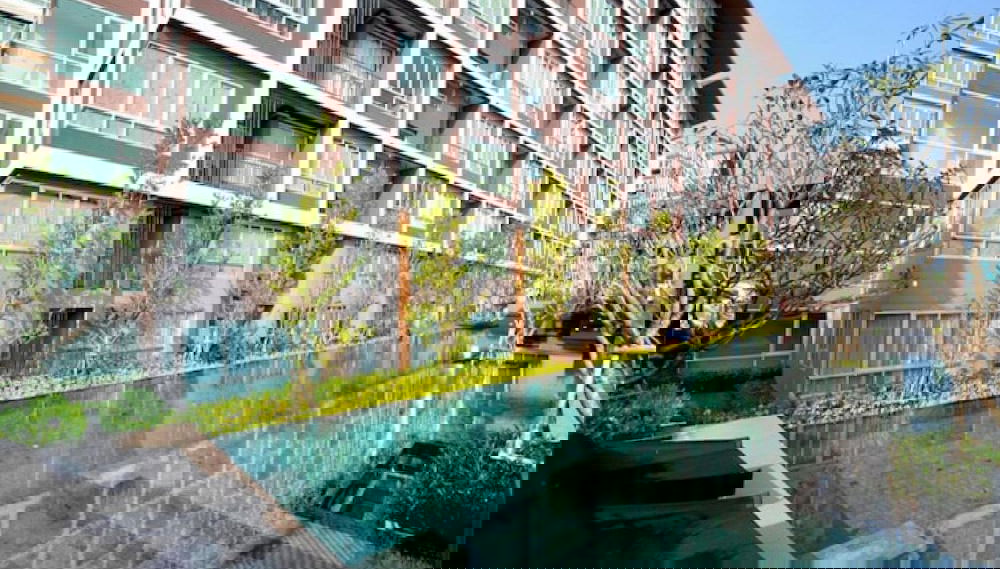 Imagem principal