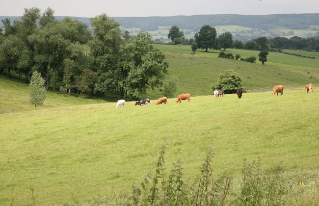 Holiday Home in Houffalize Near Nisramont - Foto 17