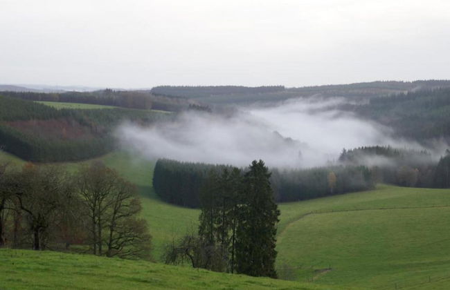 Holiday Home in Houffalize Near Nisramont - Foto 34