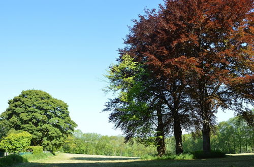 Photo 33 - Peaceful Holiday Home With Garden in Fauvillers Belgium