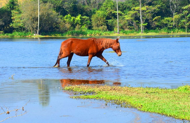 Hotel Estância Atibainha - Foto 76