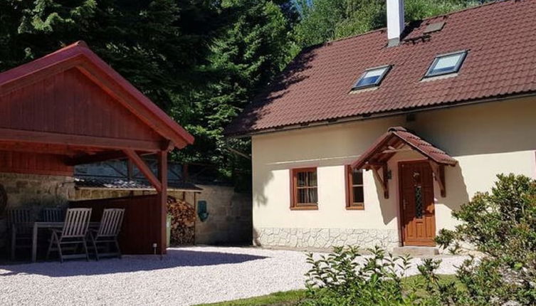 Photo 1 - Elite Cottage in Turnov near Ski Area