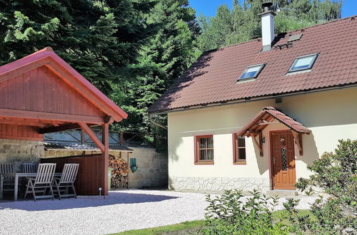 Photo 1 - Elite Cottage in Turnov near Ski Area