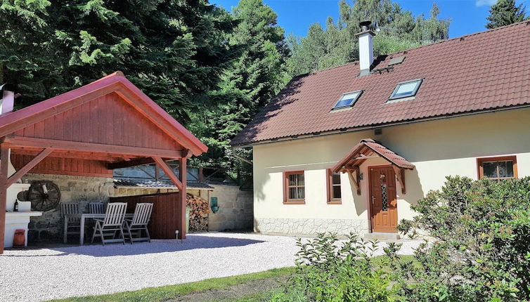 Photo 1 - Elite Cottage in Turnov near Ski Area