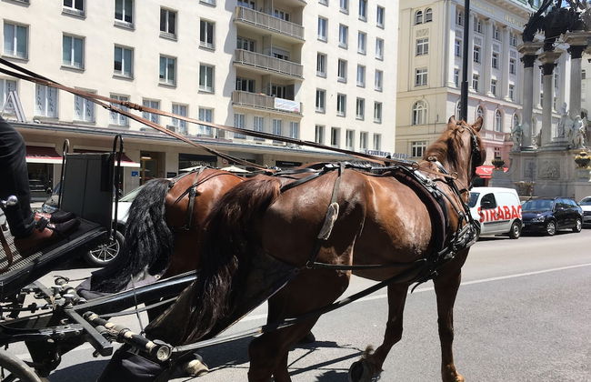 Heart of Vienna Hoher Markt - Foto 51