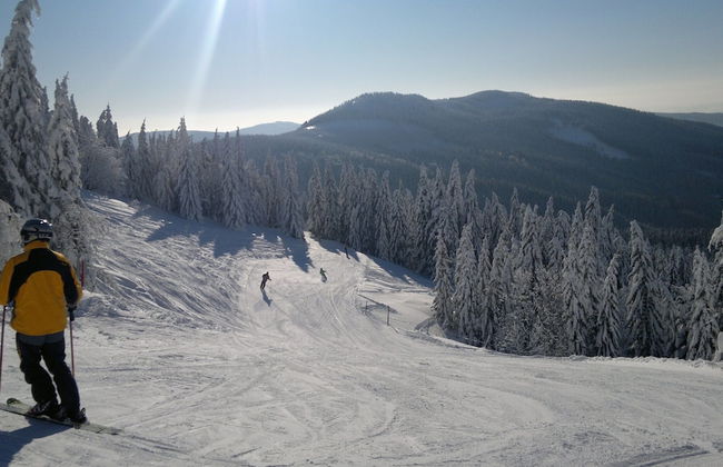 Attractive Apartment in Rokytnice nad Jizerou Near Ski Area - Foto 36