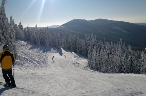 Photo 11 - Attractive Apartment in Rokytnice nad Jizerou near Ski Area