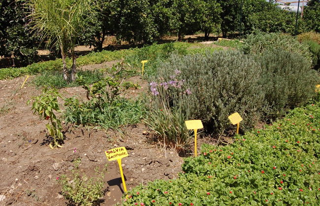 Il Giardino del sole - Foto 53