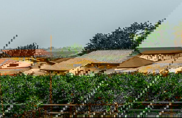 Il Giardino del sole - Foto 67