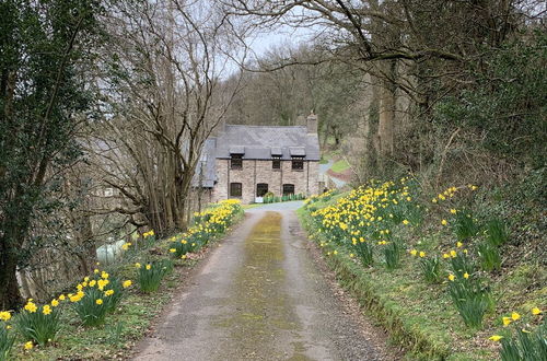 Foto 43 - Hilltops Brecon Holiday Cottages