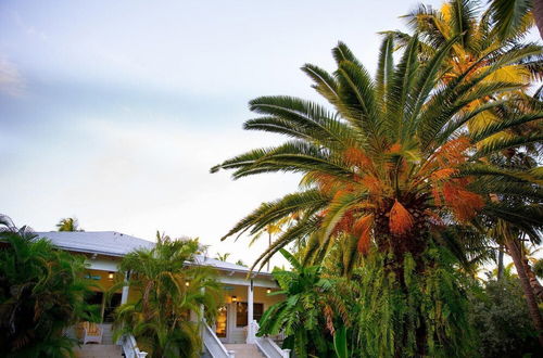 Photo 15 - The Caribbean Resort Canary Island Palm North