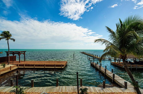 Photo 9 - The Caribbean Resort Coconut Palm North