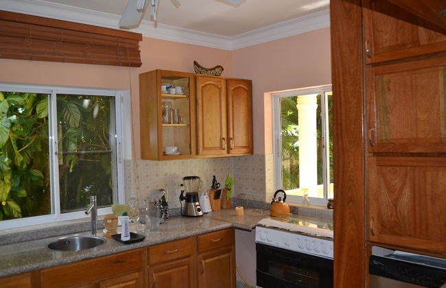 Villa, 4 Bedrooms, Private Pool, Tropical Garden, Ocean View - Foto 35