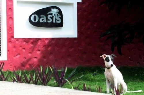 Photo 28 - Oasis Hotel Las Terrenas