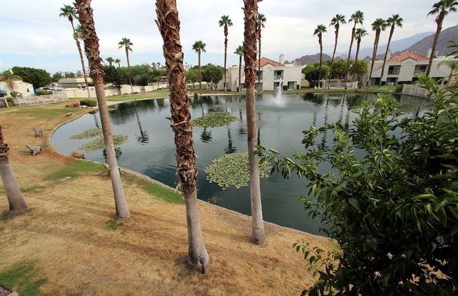 Desert Breezes Resort - Foto 57