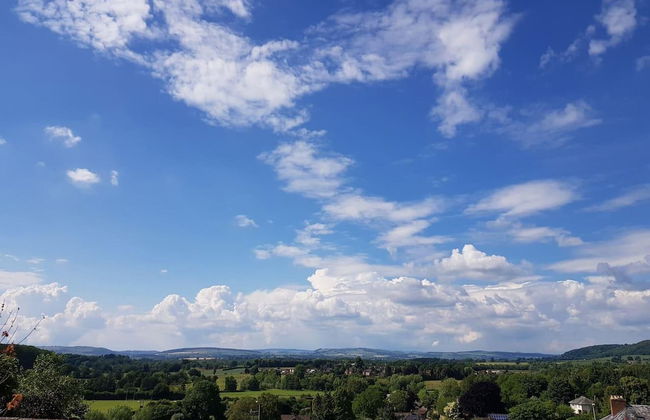 Beautiful 1 Bed Apartment in the Heart of Ludlow - Foto 49