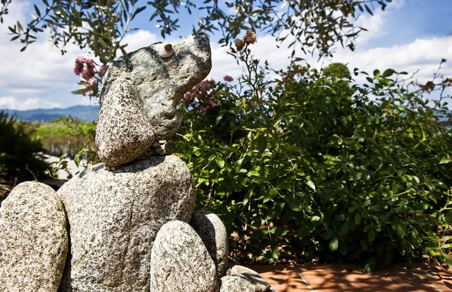 Casale dell'orso - Foto 34