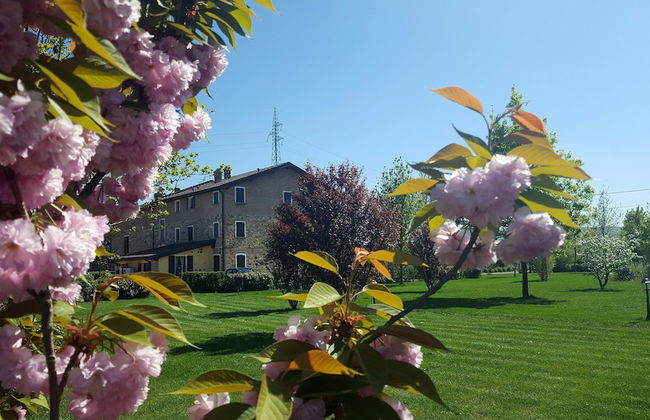 Agriturismo Il Brugnolo - Foto 46