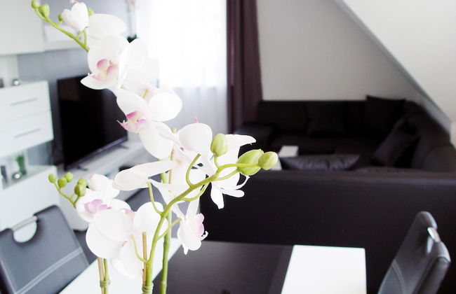 La Domus Premium - Foto 11