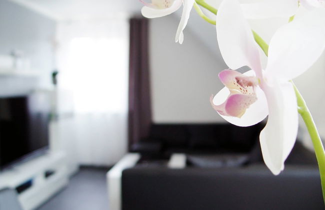 La Domus Premium - Foto 14