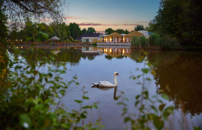 Center Parcs Limburgse Peel - Foto 60