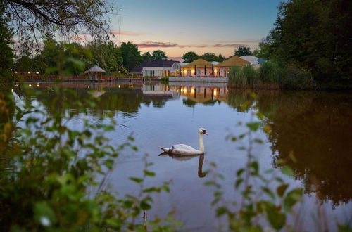 Photo 60 - Center Parcs Limburgse Peel