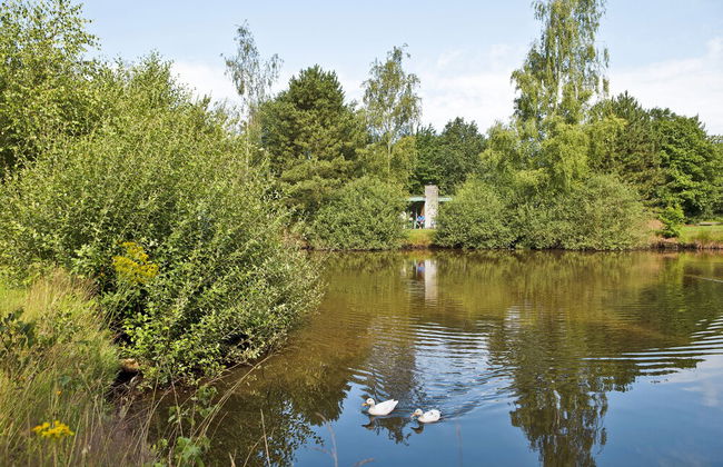Center Parcs Limburgse Peel - Foto 43