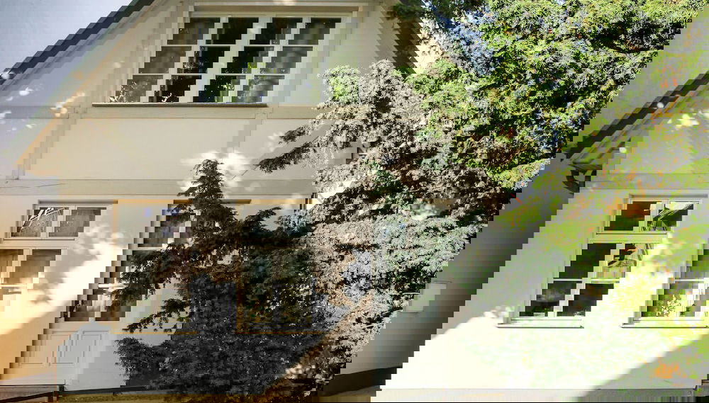 Imagem principal