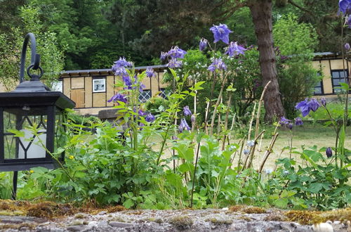 Photo 20 - Quaint Apartment in Kaifenheim near Forest