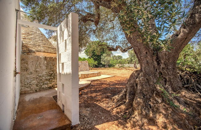 Trulli Cicale e Olive - Foto 3