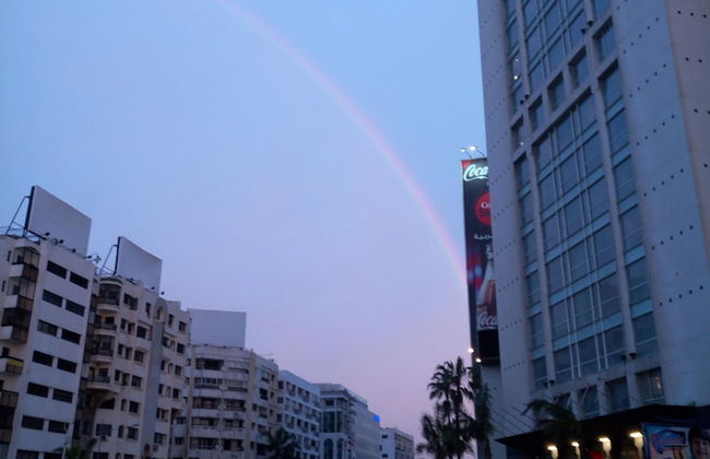 La Palette - Photo 8