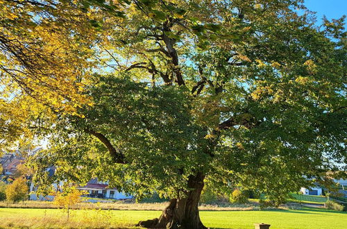 Photo 56 - Sunny Flat in Bad Driburg With Garden