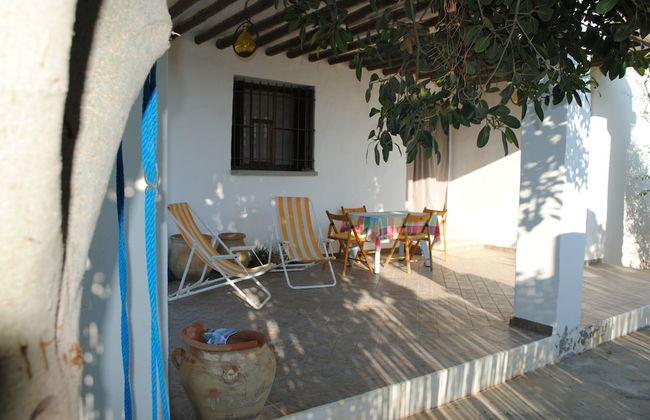 Dar Arous - Foto 21
