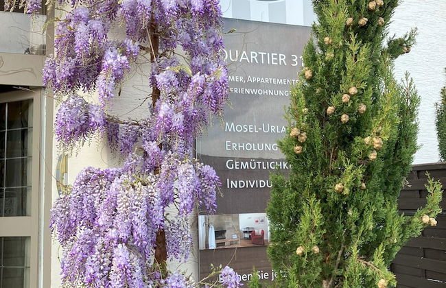 Quartier31 - Foto 1