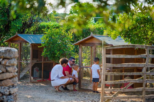 Photo 33 - Sant Joan de Binissaida Hotel Rural