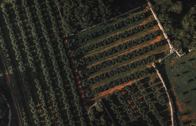 Binissaida Boutique Hotel - Foto 69