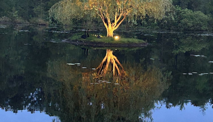 Foto 1 - Swan Lake Resort Rentals