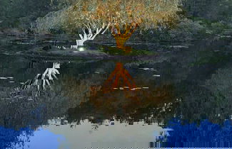 Photo 1 - Swan Lake Resort Rentals