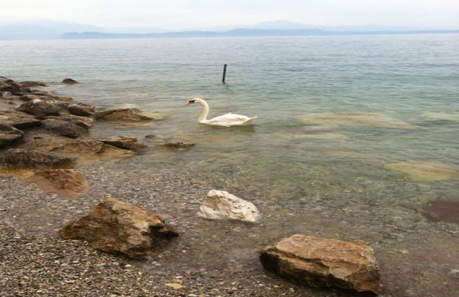 Seclusive Apartment in Sirmione near Lake - Foto 33