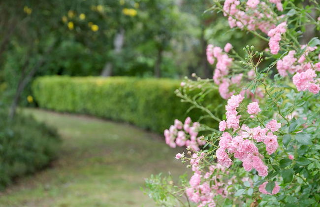 El Moli de Siurana, The Originals Relais (Relais du Silence) - Foto 80