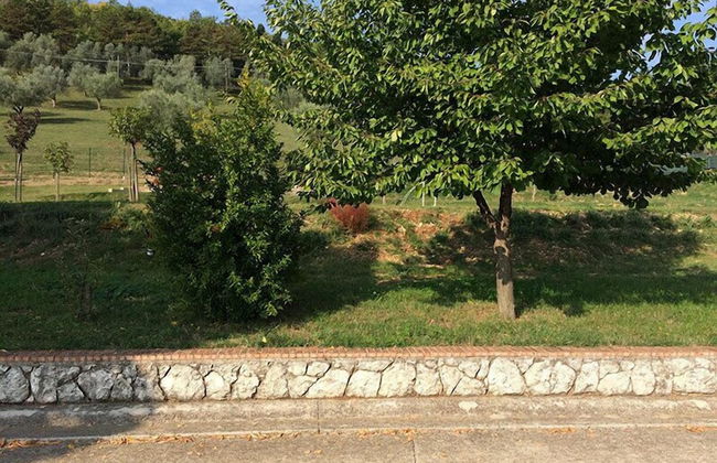 Agriturismo Tenuta del Daino - Foto 37